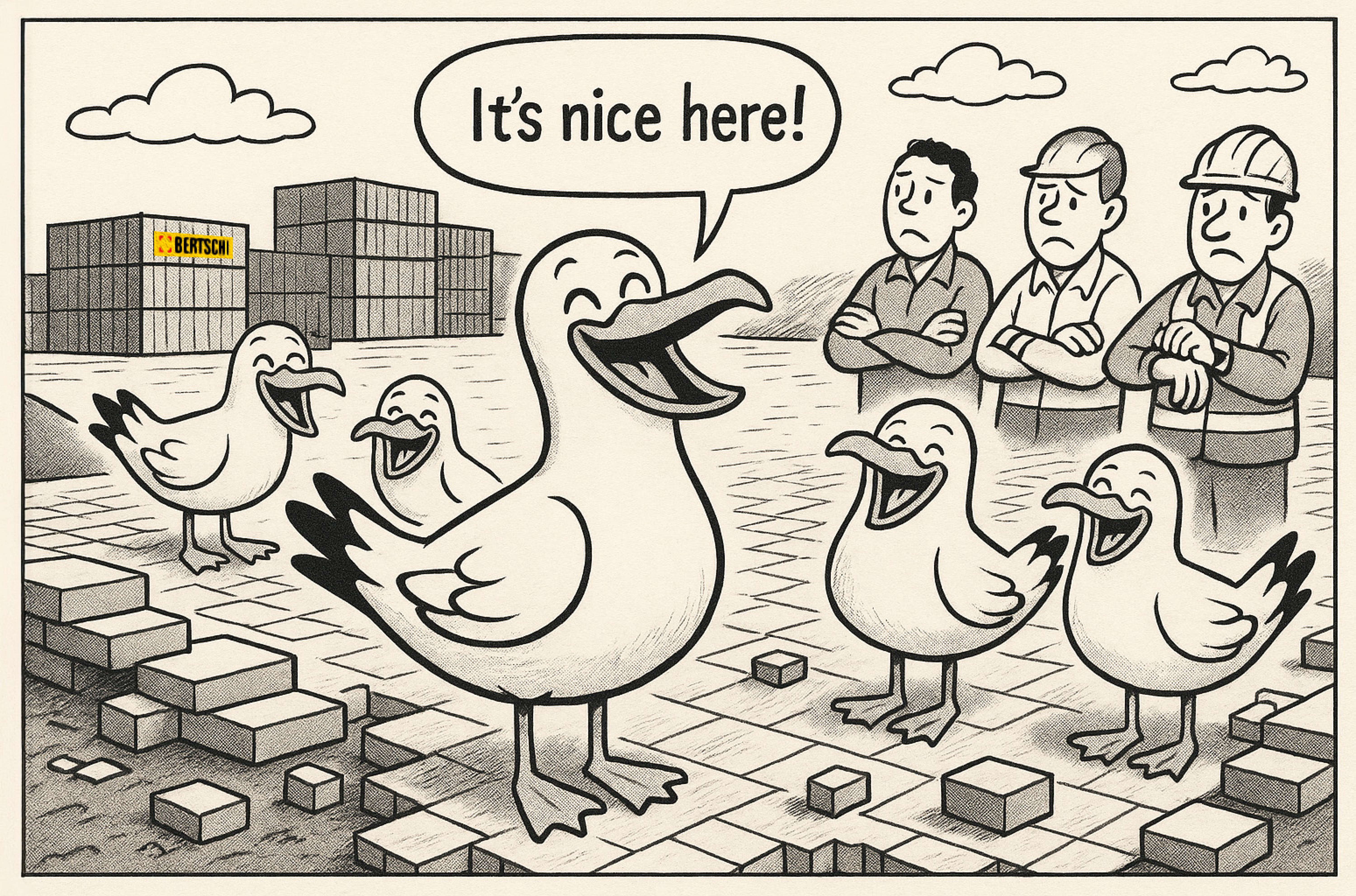 editorial cartoon of seagulls in the Rotterdam construction with frustrated employees watching them and one seagull has a speech bubble saying it's nice here!