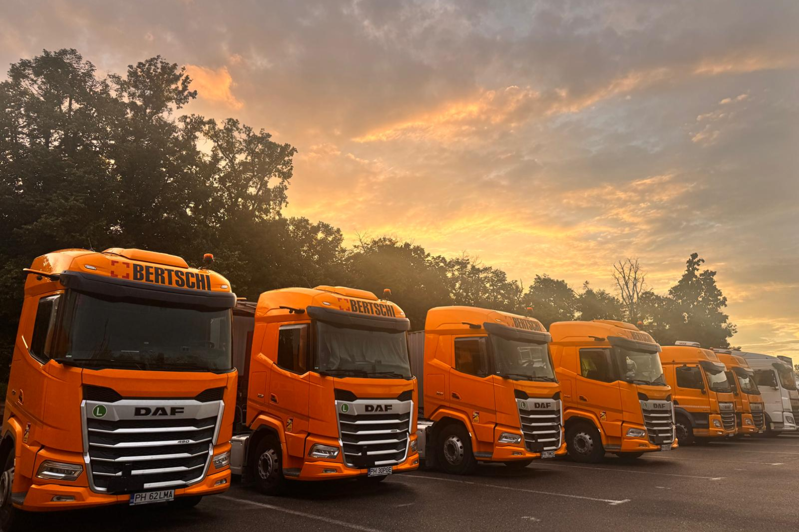 Trucks lined up side by side with a orange sky